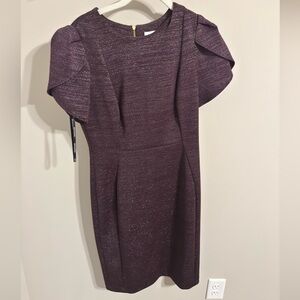 Calvin Klein Women’s Dress